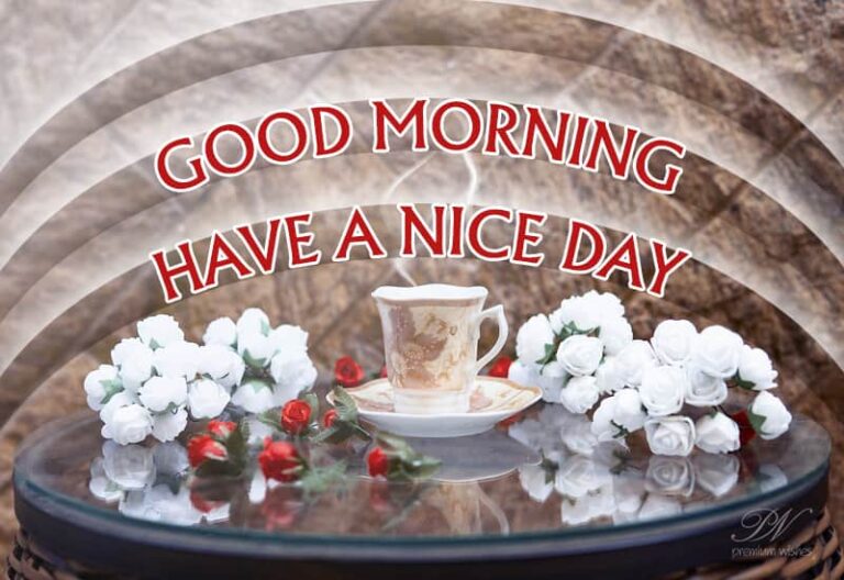 Good Morning – Have a nice day friends – Enjoy the day ahead