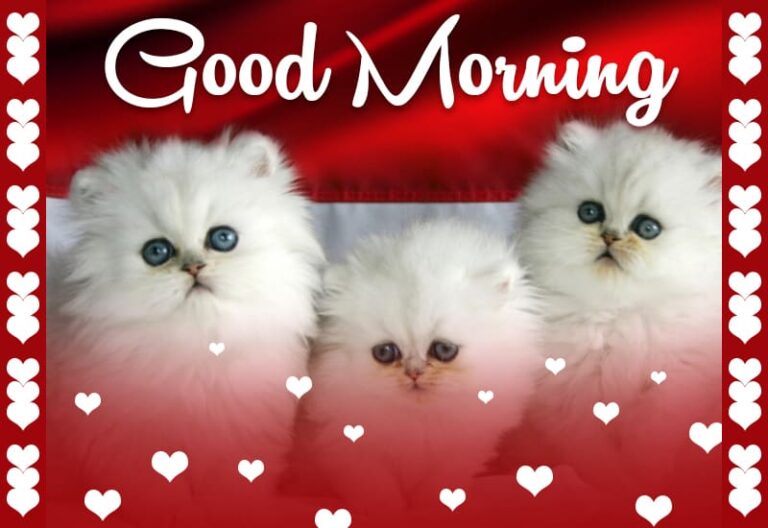 Good Morning – Enjoy with friends – be happy – smile