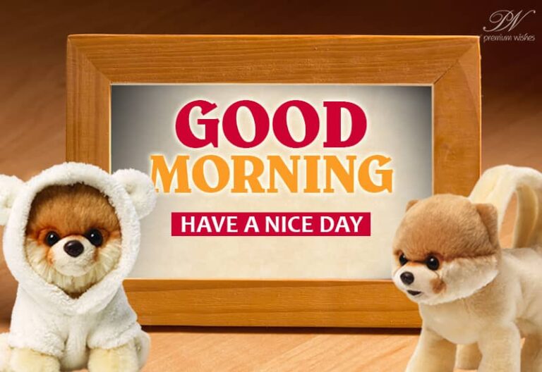 Good Morning Friends – Enjoying the chill? have a nice day