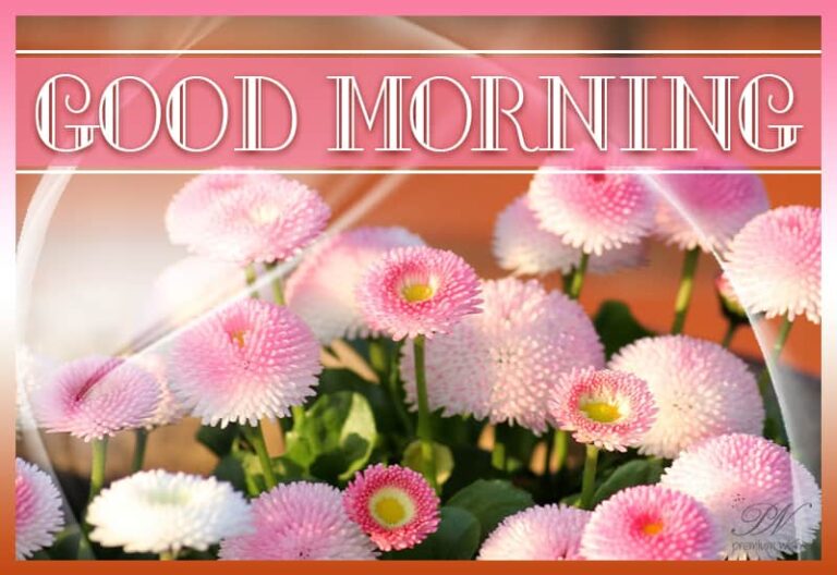 Good Morning – Sending you vibrant flowers to enhance your mood