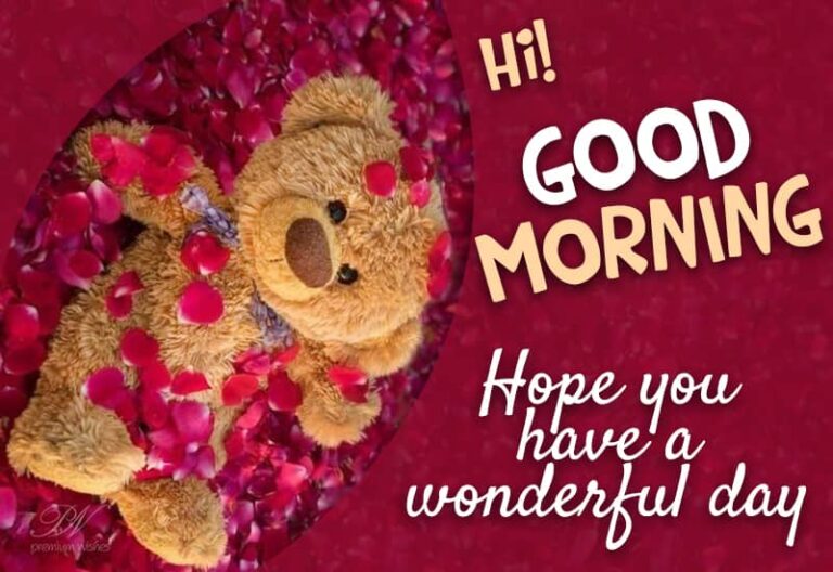 Good Morning – Hope you have a wonderful day