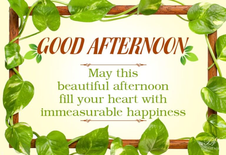 Good Afternoon Wishes
