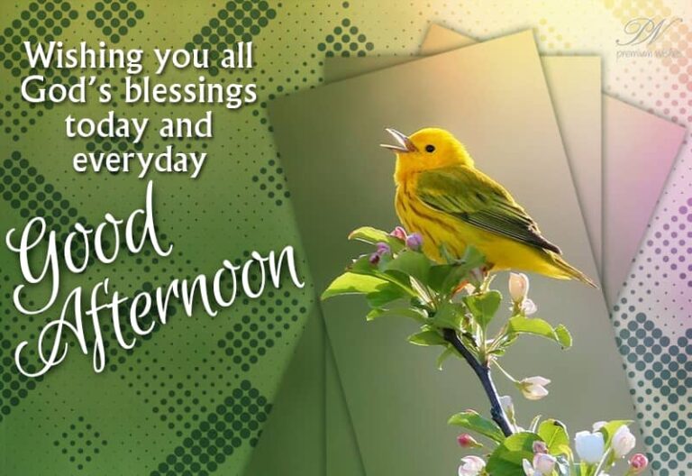 Good Afternoon Wishes