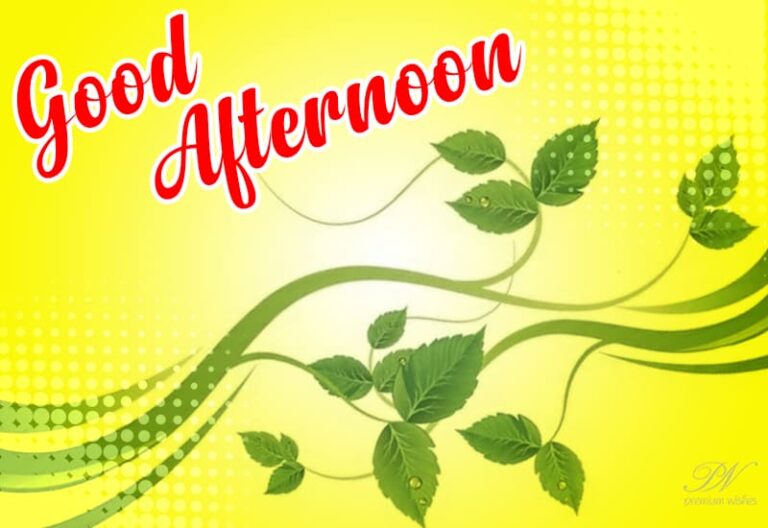 Good Afternoon Wishes