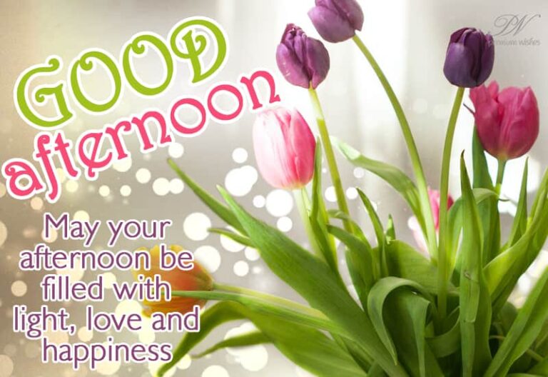 Good Afternoon Wishes