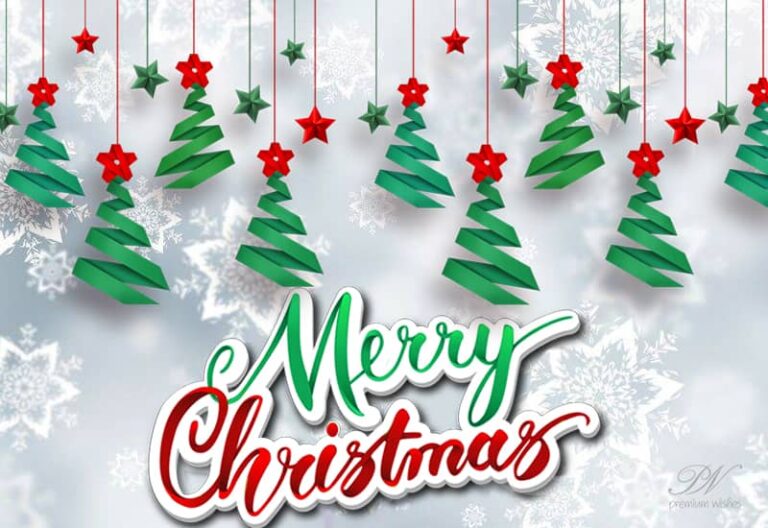 Merry Christmas 2022