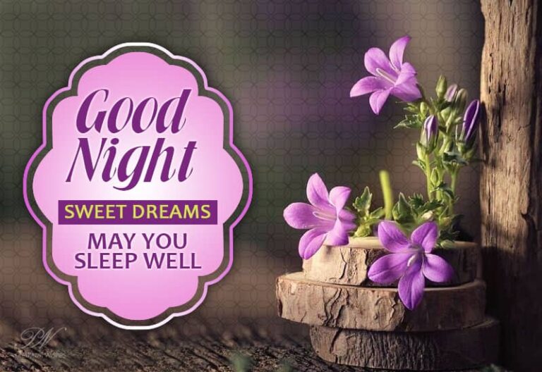 Good Night Wishes