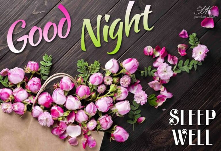 Good Night Wishes