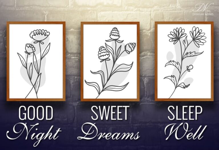Good Night Wishes