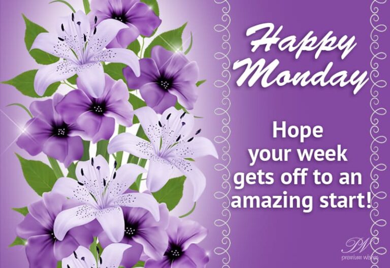 Happy Monday – Hope your work gets off to an amazing start