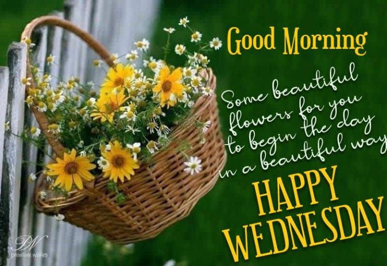 Good Morning – Some beautiful flowers for you to begin the day in a beautiful way – Happy Wednesday