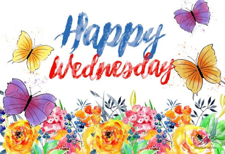Happy Wednesday – Remain happy and playful