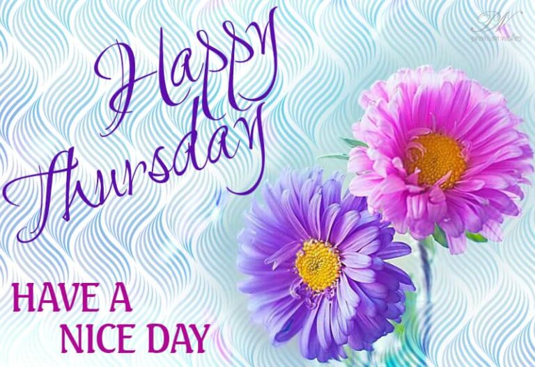 Happy Thursday – Have a nice day
