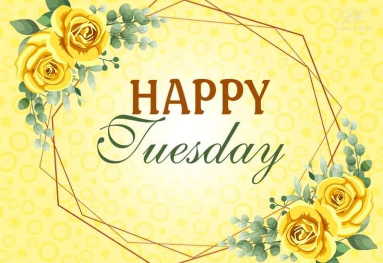 Happy Tuesday – Have a great day ahead