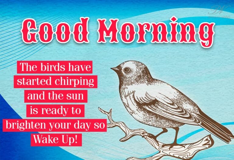 Good Morning – The birds have started chirping and the sun is ready to brighten your day so wake up