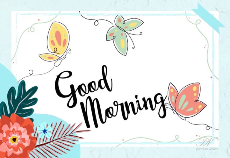 Good Morning Friends – Fly high today