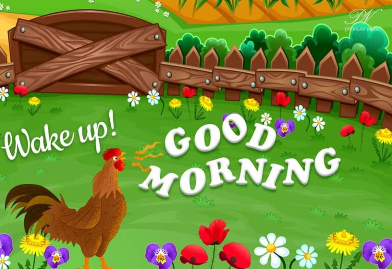 Wake Up  – Good Morning