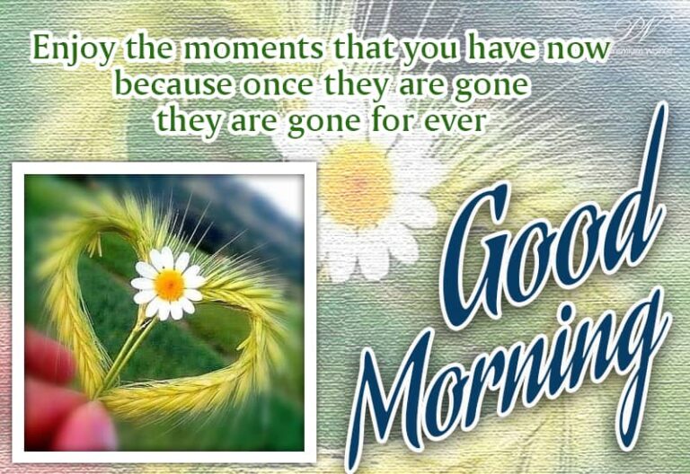 Good Morning – enjoy the moments that you have now because once they are gone they are gone for ever