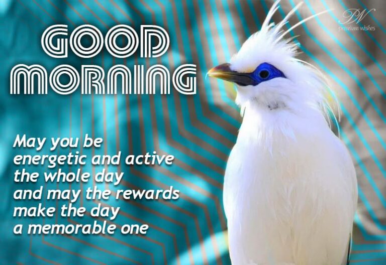 Good Morning – May you be energetic and active the whole day and may the rewards make the day a memorable one