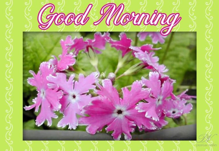 Good Morning – Have a lovely day