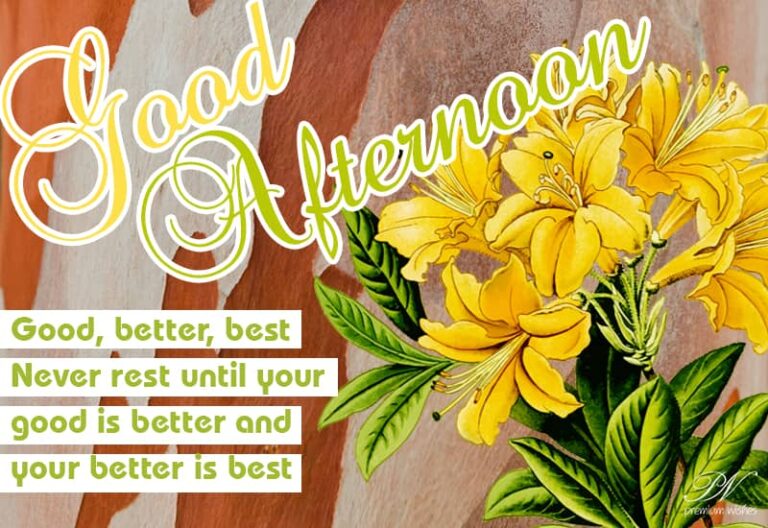 Good Afternoon Wishes