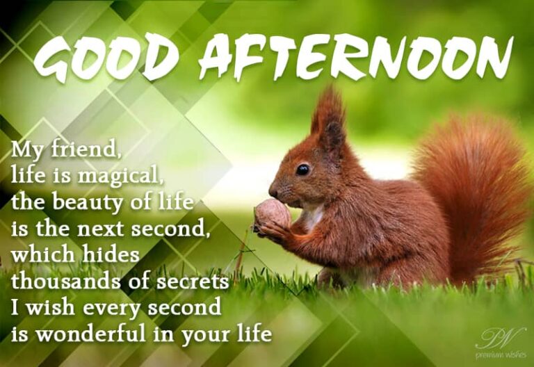 Good Afternoon Wishes