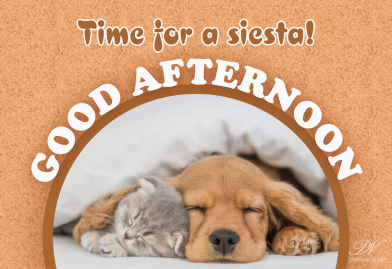 Good Afternoon Wishes