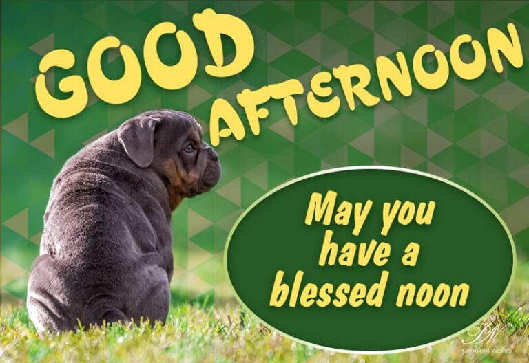 Good Afternoon Wishes