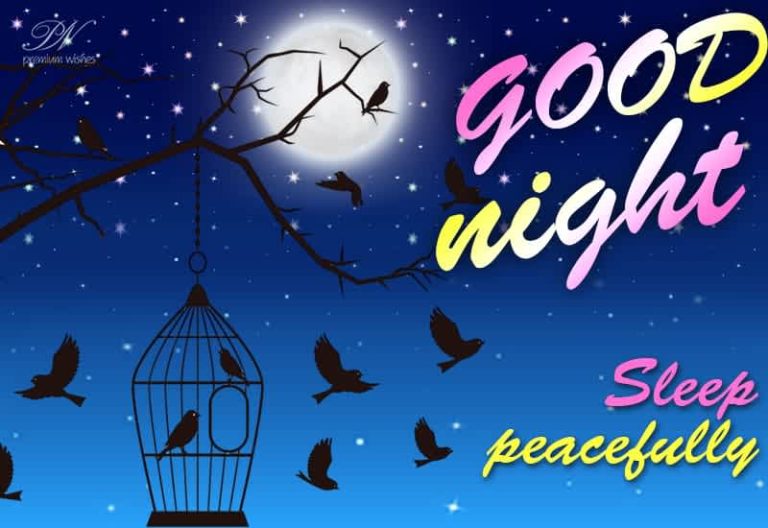 Good Night Wishes