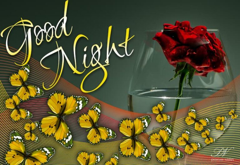 Good Night Wishes