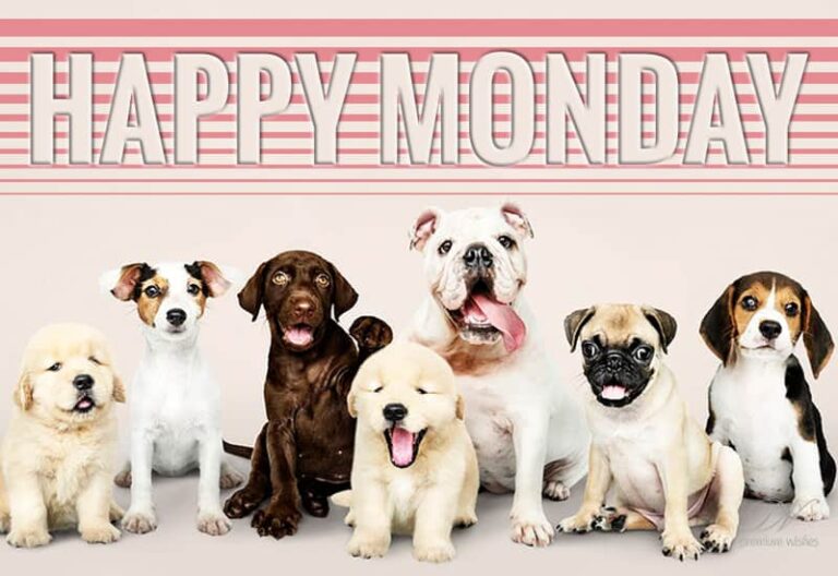 Happy Monday – Be among friends and enjoy