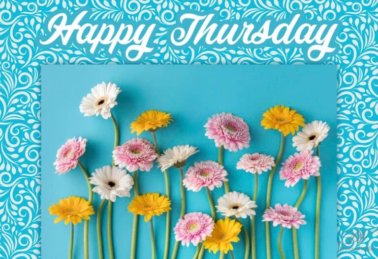 Happy Thursday – Good Morning – Say it with flowers