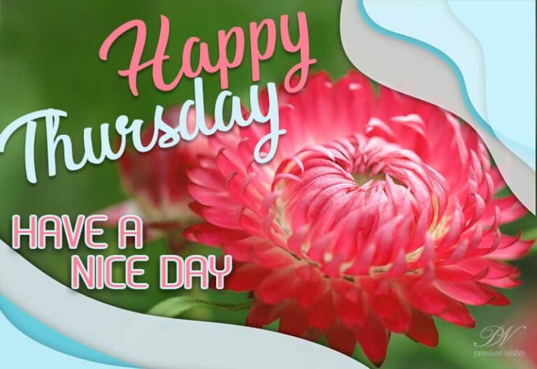 Happy Thursday Friends – Have a nice day