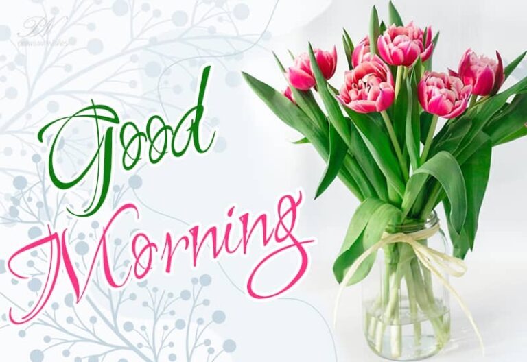Friends Wishing you a very Good Morning