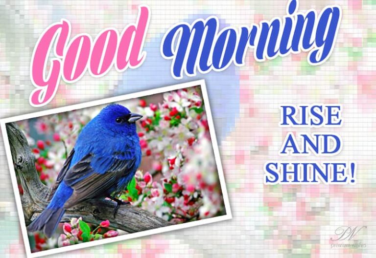 Good Morning – Rise and Shine