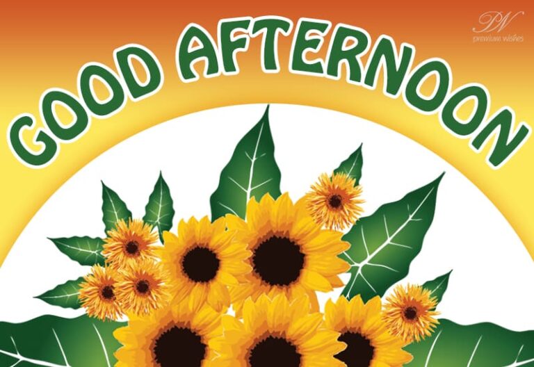 Good Afternoon Wishes