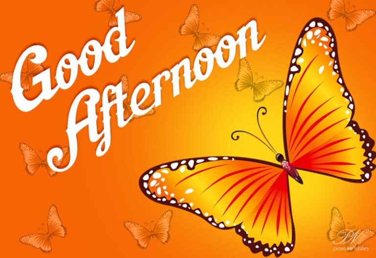 Good Afternoon Wishes