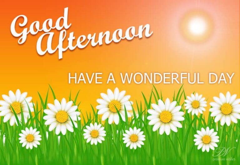 Good Afternoon Wishes
