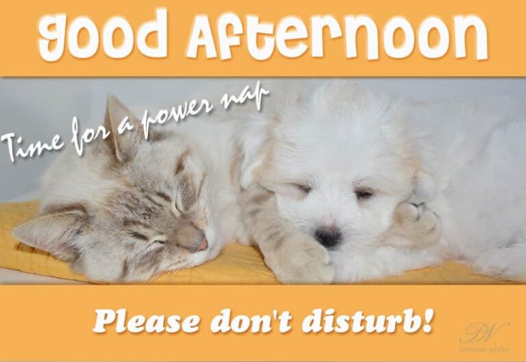 Good Afternoon – Time for a power nap – Do not disturb