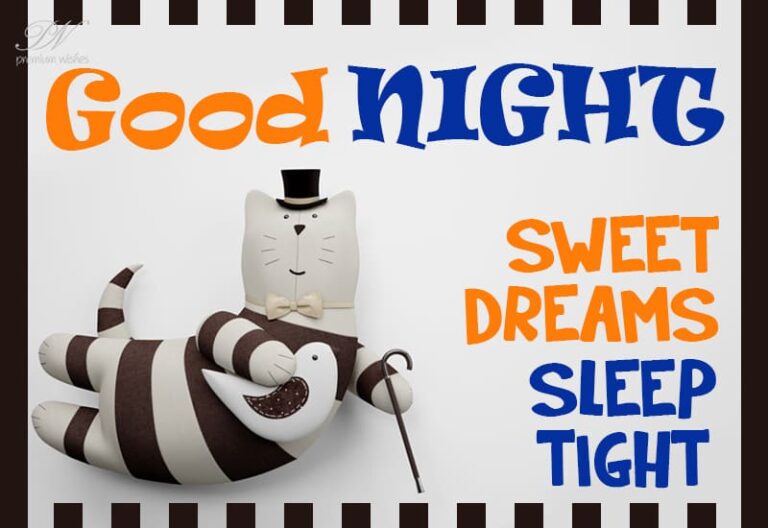 Good Night Wishes