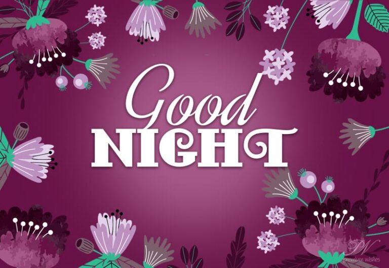 Good Night Wishes