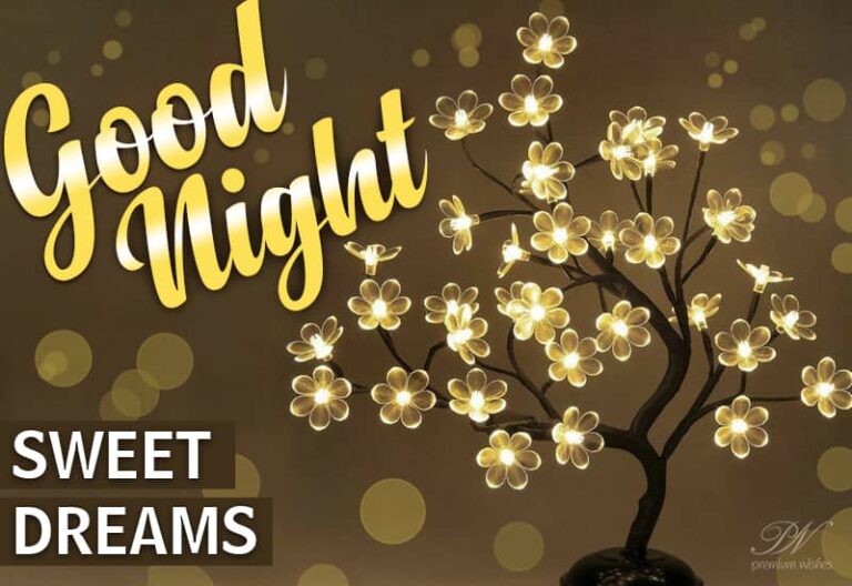 Good Night Wishes