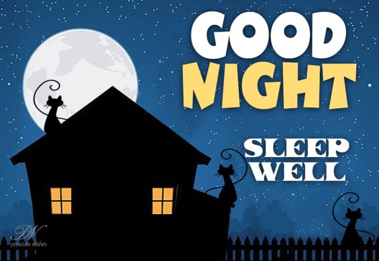 Good Night Wishes