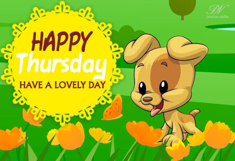 Happy Thursday – Have a lovely day
