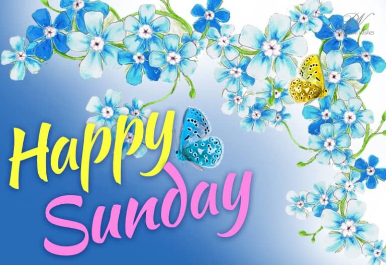 Happy Sunday – Enjoy the day along with friends