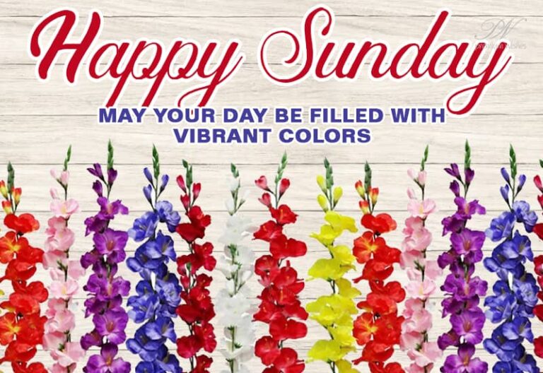 Happy Sunday – May your day be filled with vibrant colors