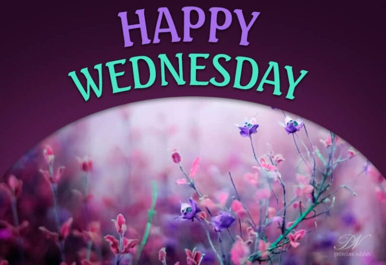 Happy Wednesday Friends – Enjoy the beauty of the day