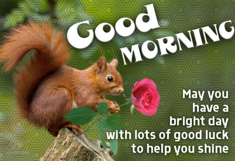 Good Morning – May you have a bright day with lots of good luck to help you shine