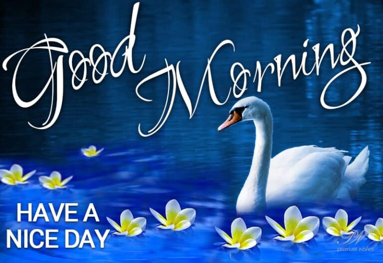 Good Morning – Have a nice day