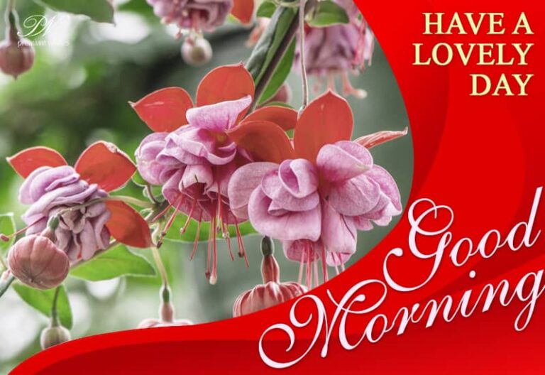 Have a lovely day  – Good Morning